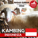 QURBAN KAMBING INDONESIA