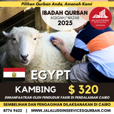 QURBAN KAMBING CAIRO