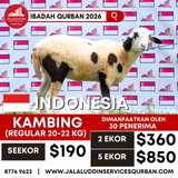 QURBAN KAMBING INDONESIA