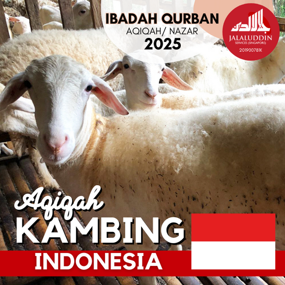 AQIQAH KAMBING INDONESIA