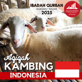 AQIQAH KAMBING INDONESIA
