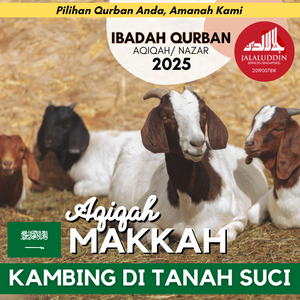AQIQAH KAMBING MAKKAH