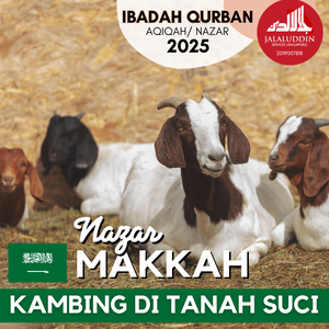 NAZAR KAMBING MAKKAH