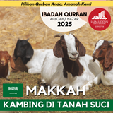 QURBAN KAMBING MAKKAH