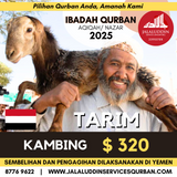 QURBAN KAMBING YEMEN