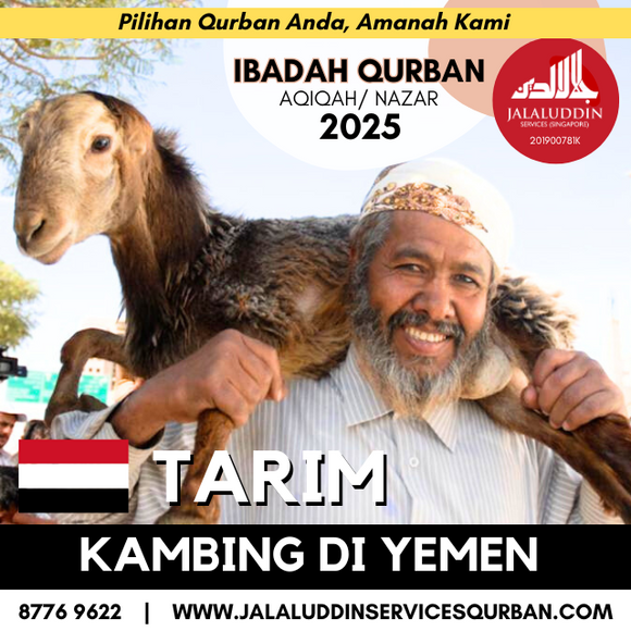 QURBAN KAMBING YEMEN