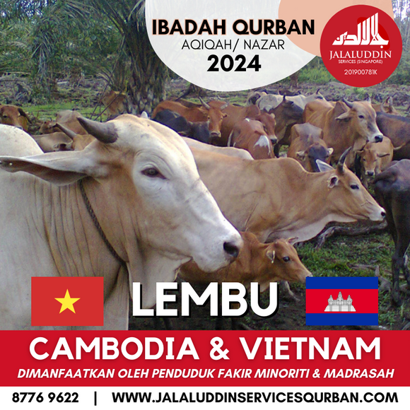 QURBAN LEMBU CAMBODIA/ VIETNAM