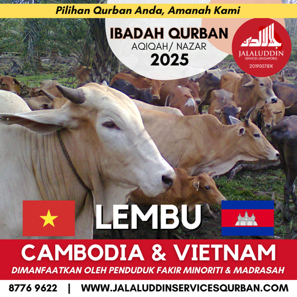QURBAN LEMBU CAMBODIA/ VIETNAM