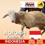 AQIQAH KAMBING INDONESIA